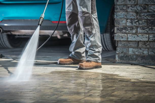 Best Driveway Pressure Washing  in Raton, NM